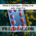 What Is Kamagra 100Mg Oral Jelly Used For 06